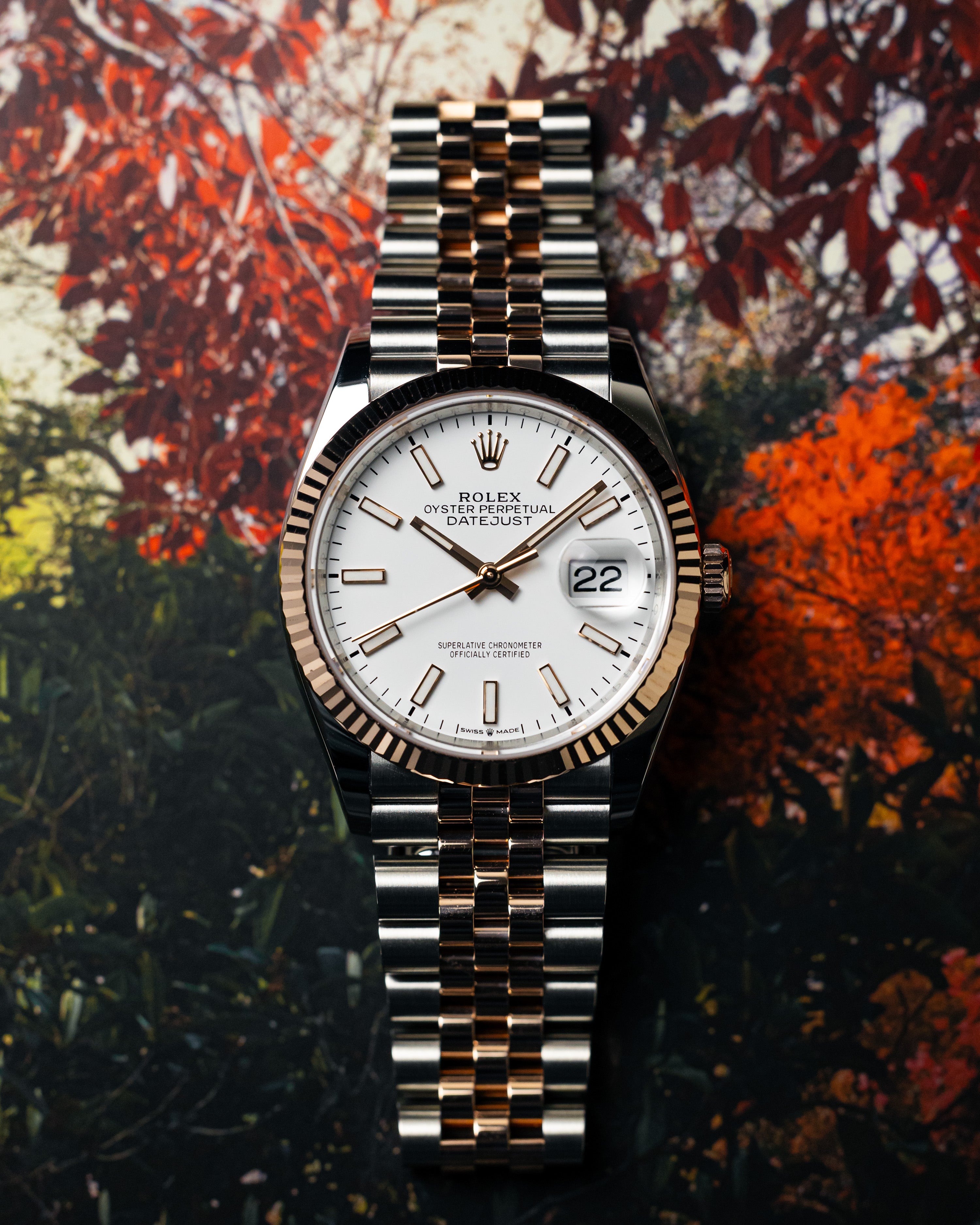 2024 Rolex Datejust 36 Two-tone Rose Gold White Dial