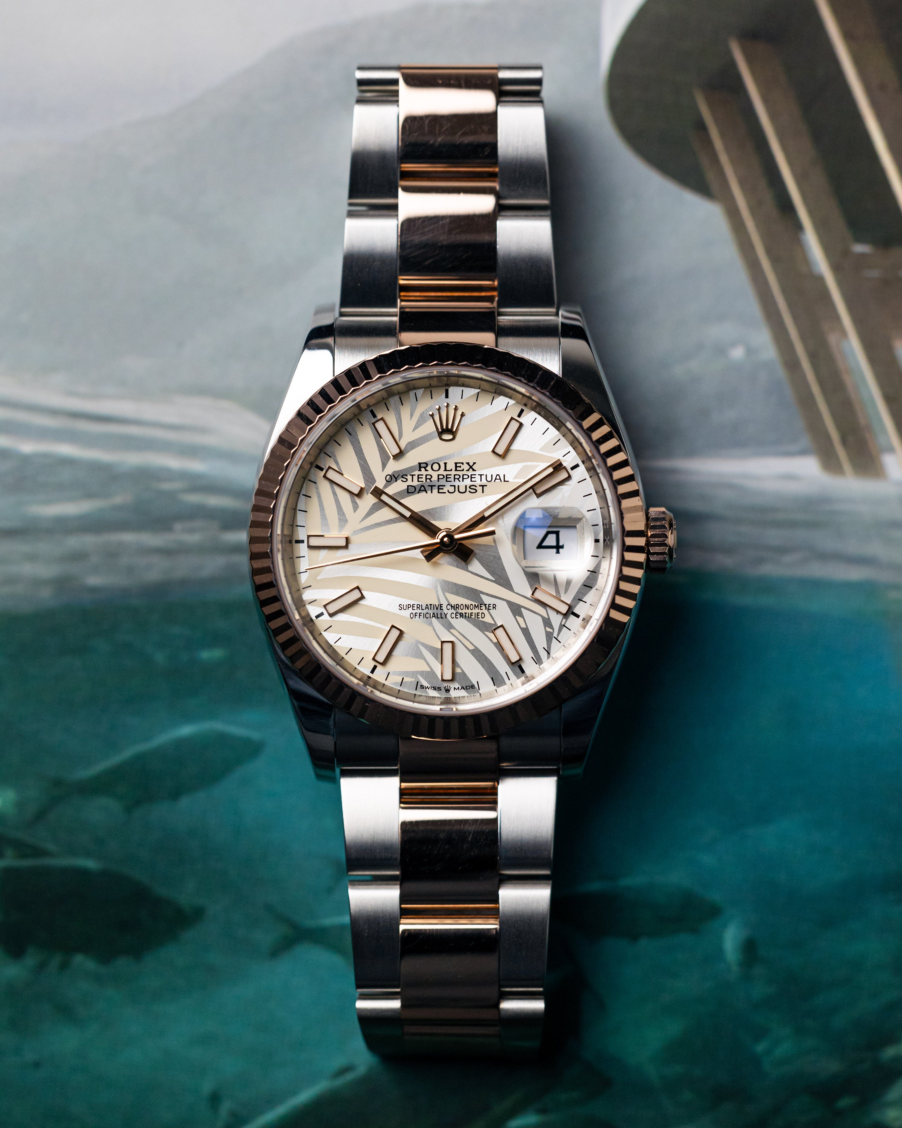 2021 Rolex Datejust 36mm RG/Steel Palm Dial Motif