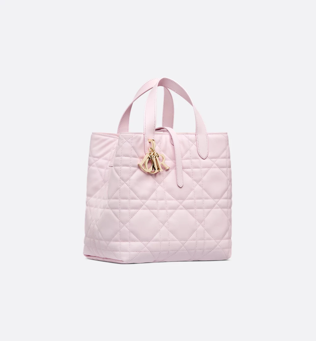 Medium Dior Toujours Vertical Tote Bag - luxuryevafr