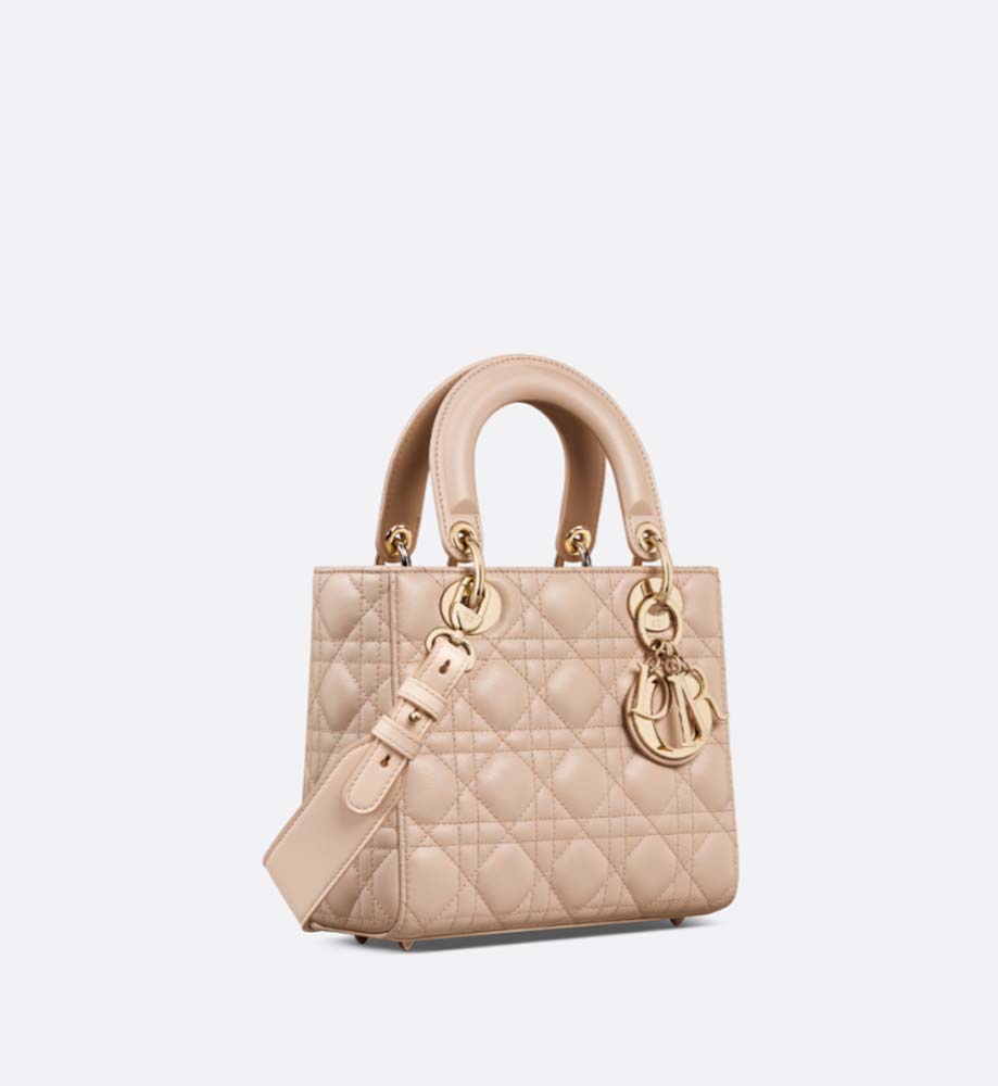 PETIT SAC LADY DIOR - luxuryevafr