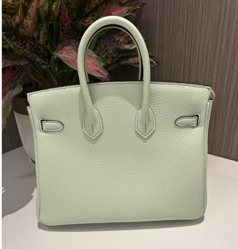 Hermes Birkin Sellier 25 Vert Fizz Epsom Ferrures Palladium - luxuryevafr