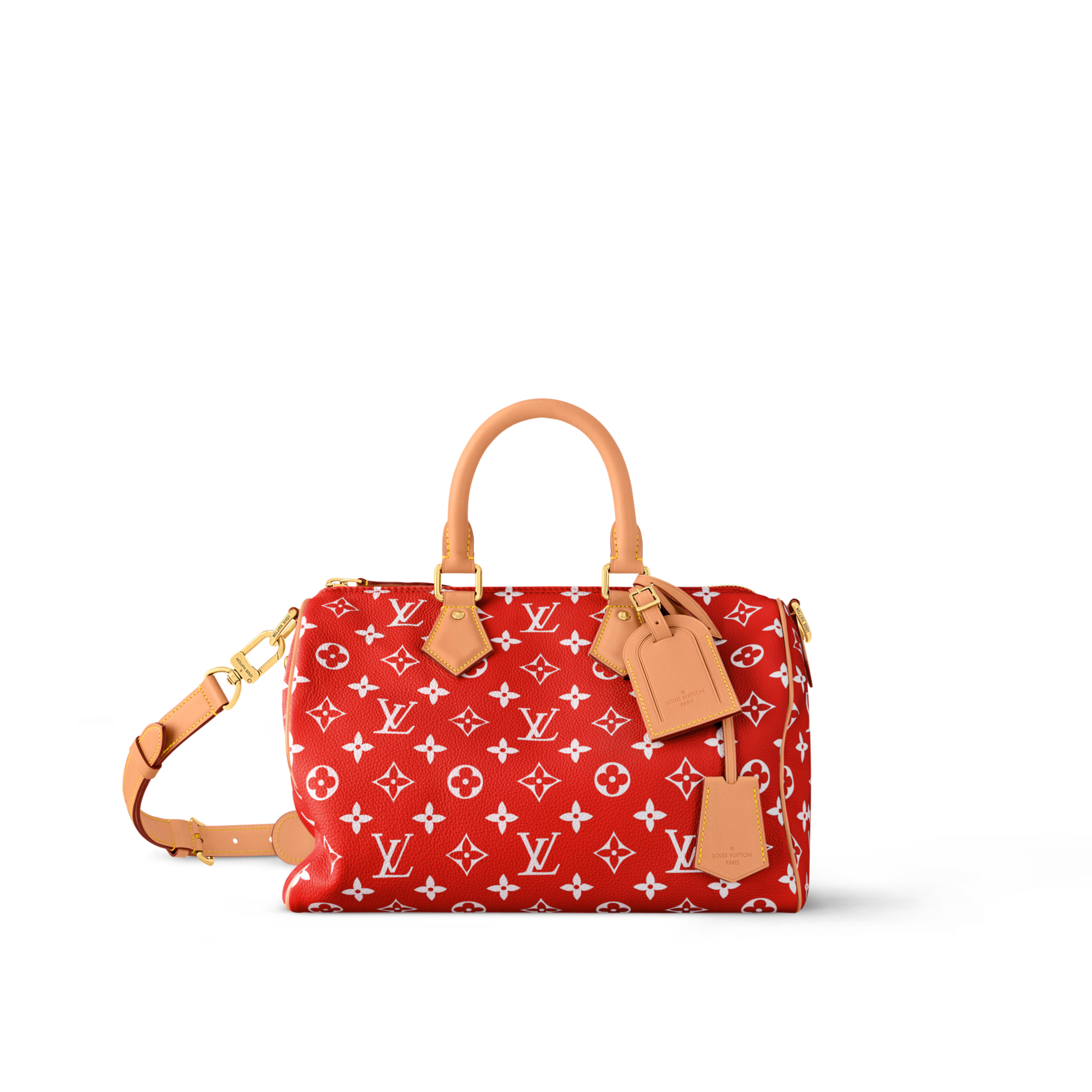 LV Speedy P9 Bandoulière 30 M14067 - luxuryevafr