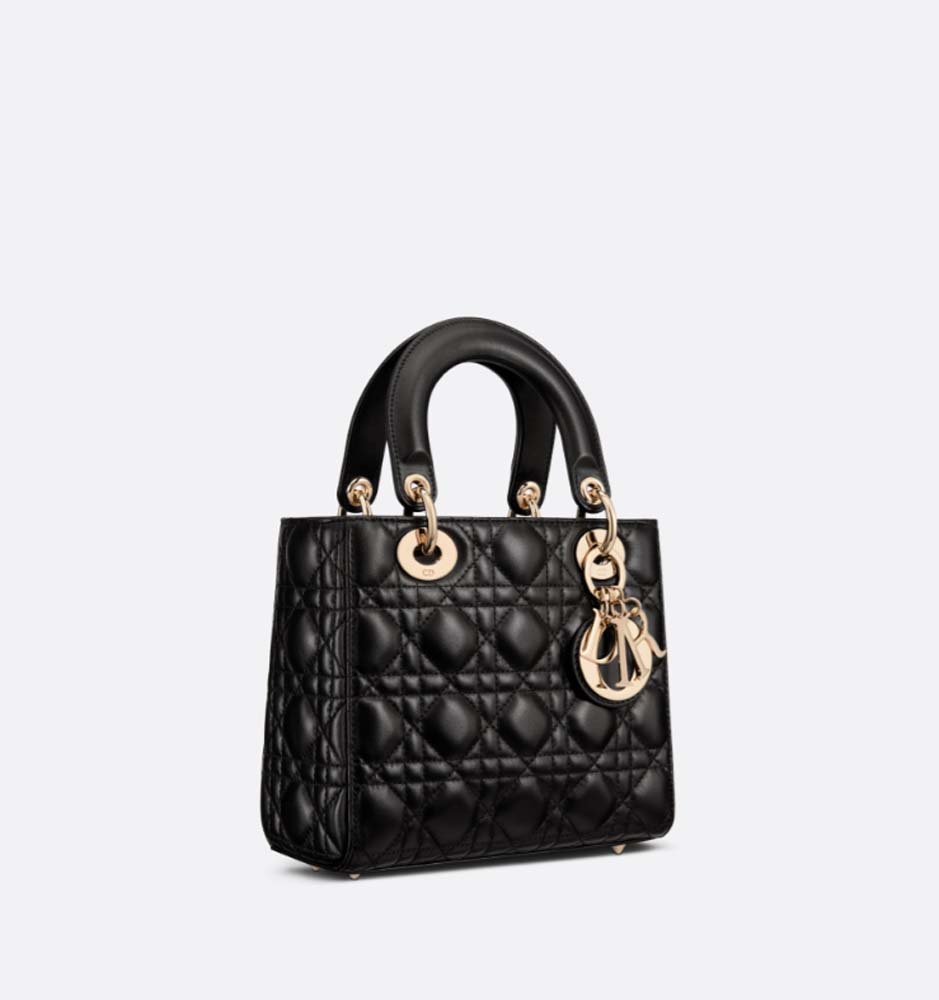 PETIT SAC LADY DIOR - luxuryevafr