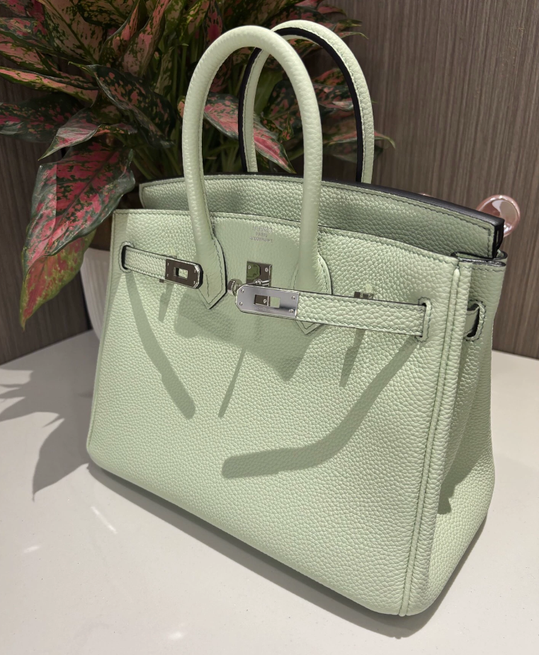 Hermes Birkin Sellier 25 Vert Fizz Epsom Ferrures Palladium - luxuryevafr