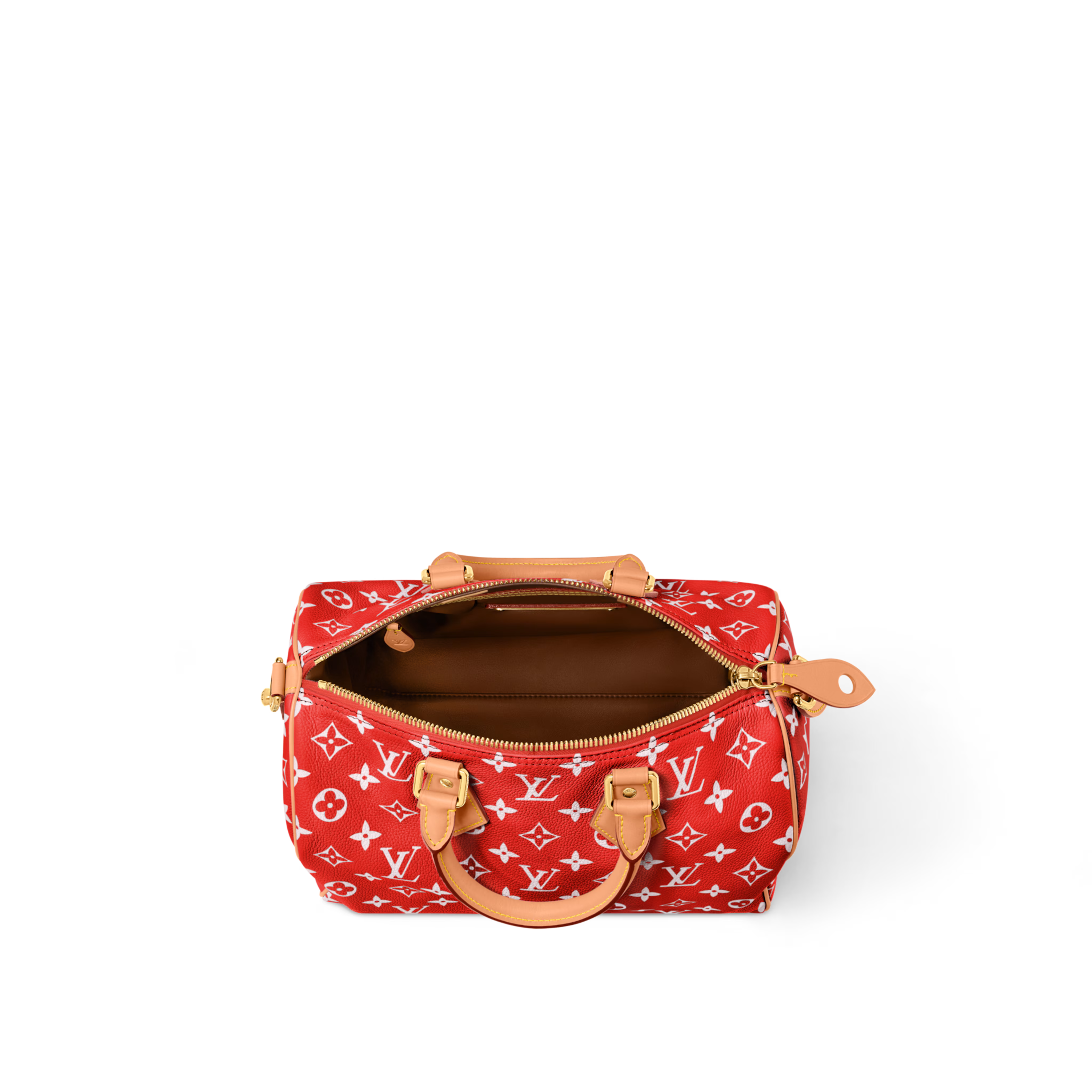 LV Speedy P9 Bandoulière 30 M14067 - luxuryevafr