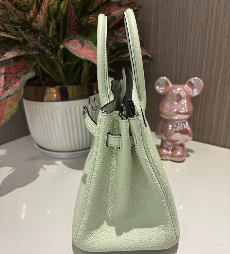 Hermes Birkin Sellier 25 Vert Fizz Epsom Ferrures Palladium - luxuryevafr