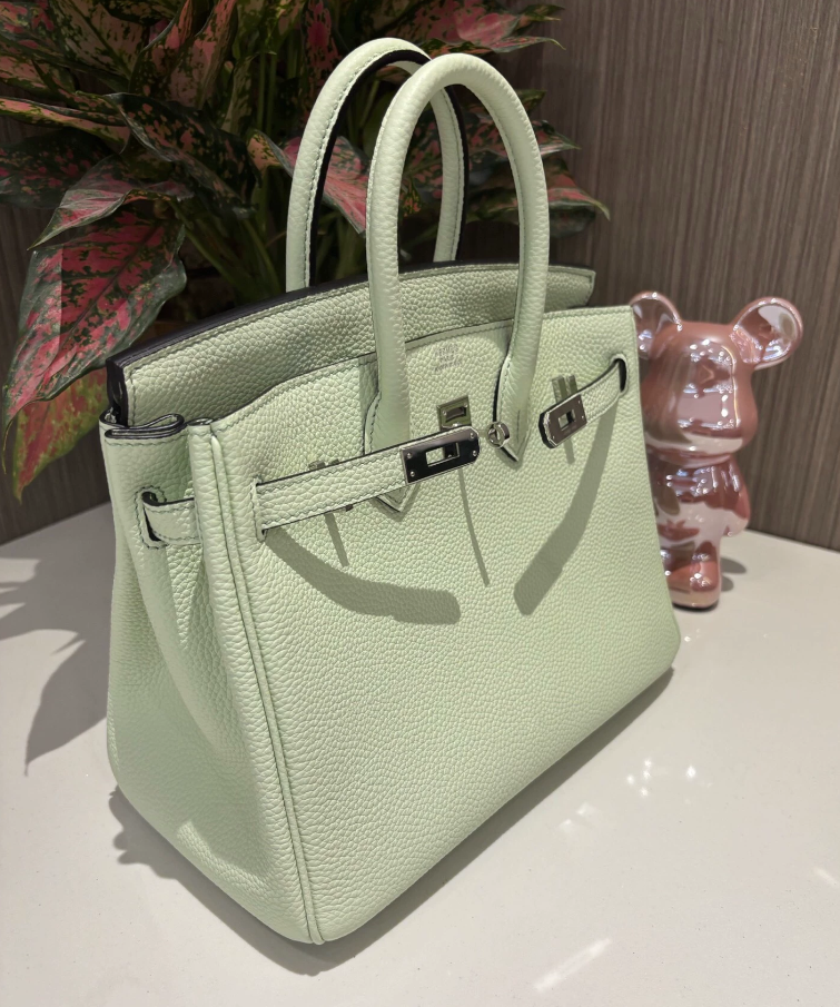 Hermes Birkin Sellier 25 Vert Fizz Epsom Ferrures Palladium - luxuryevafr