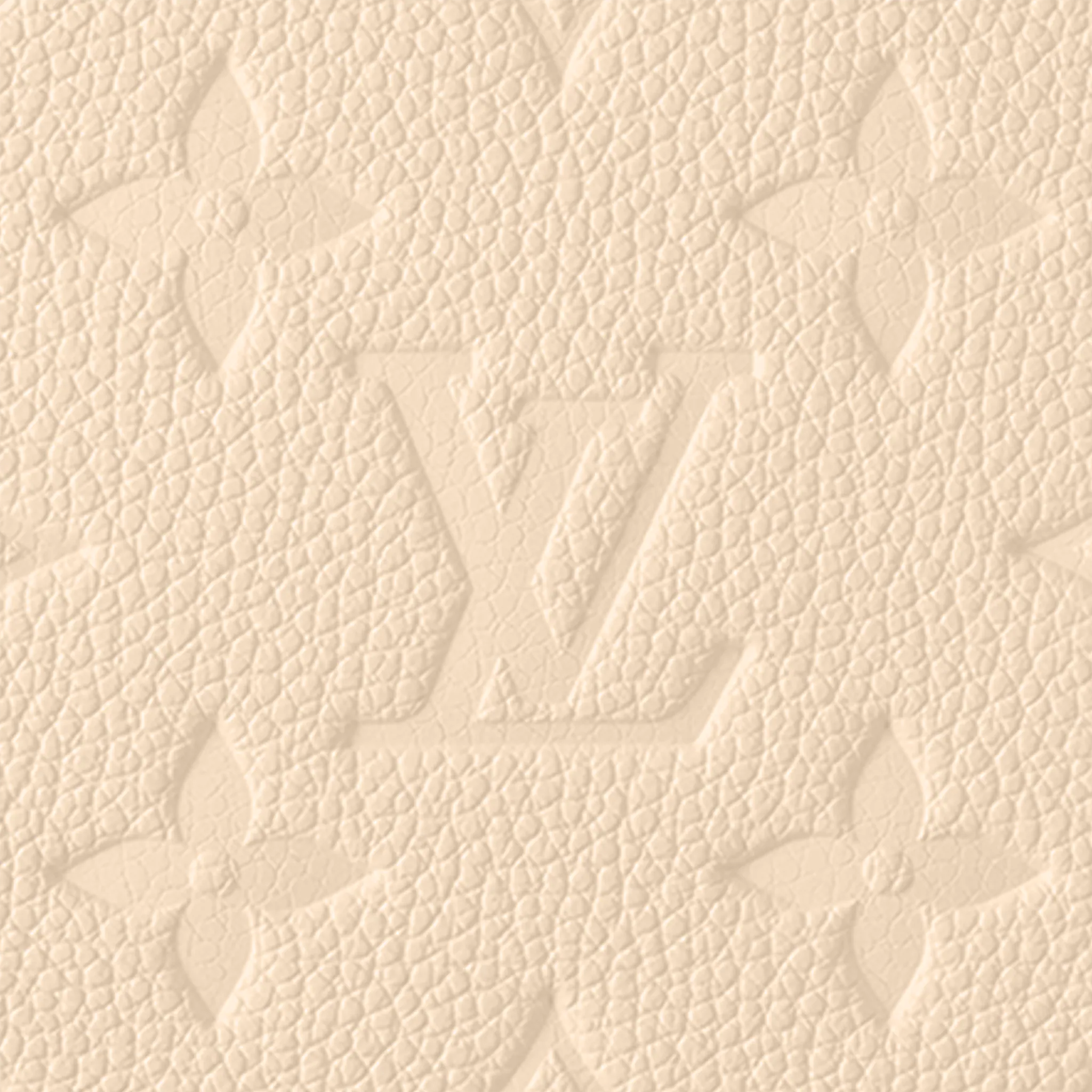 Pochette facile sur sangle - luxuryevafr