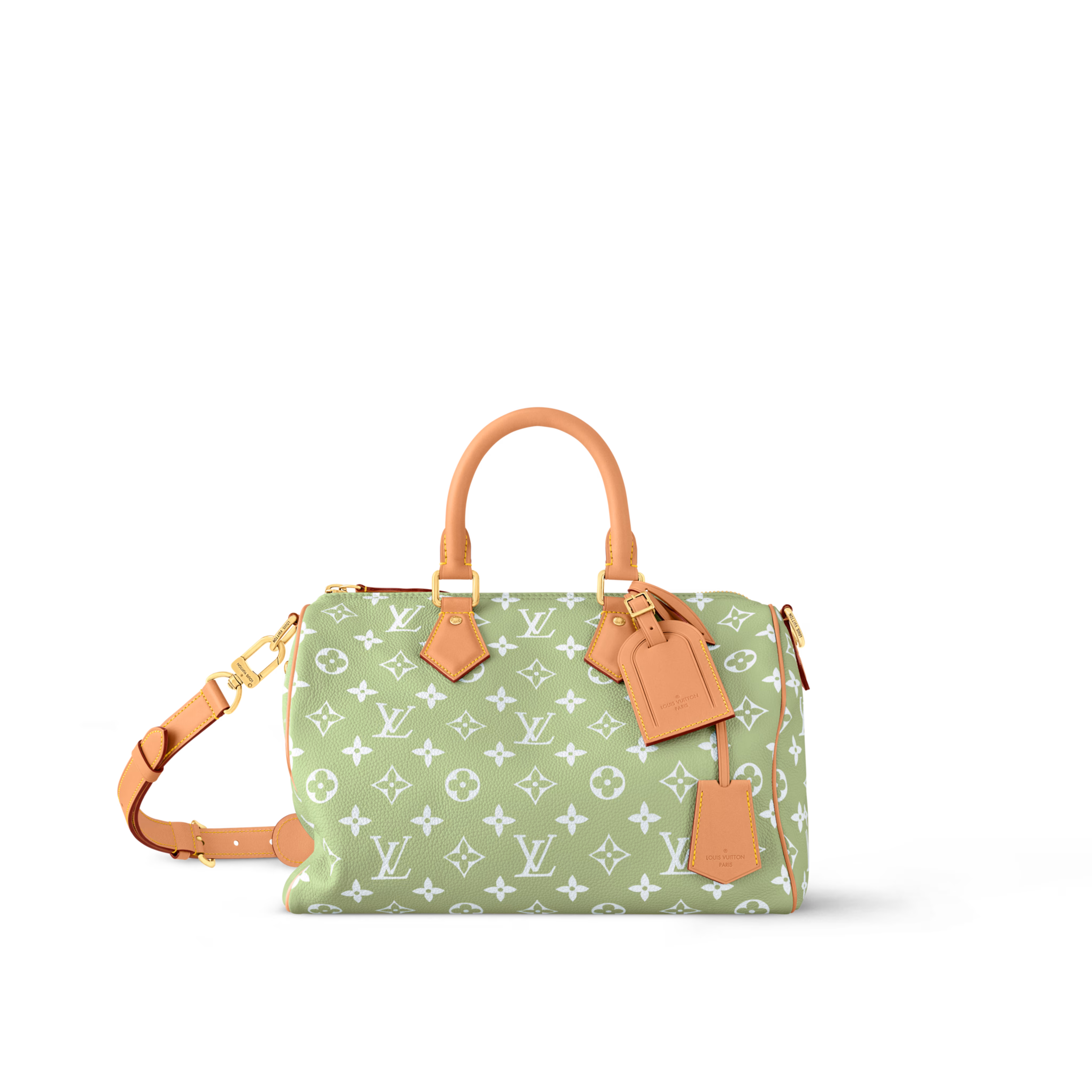 LV Speedy P9 Bandoulière 30 M14064 - luxuryevafr