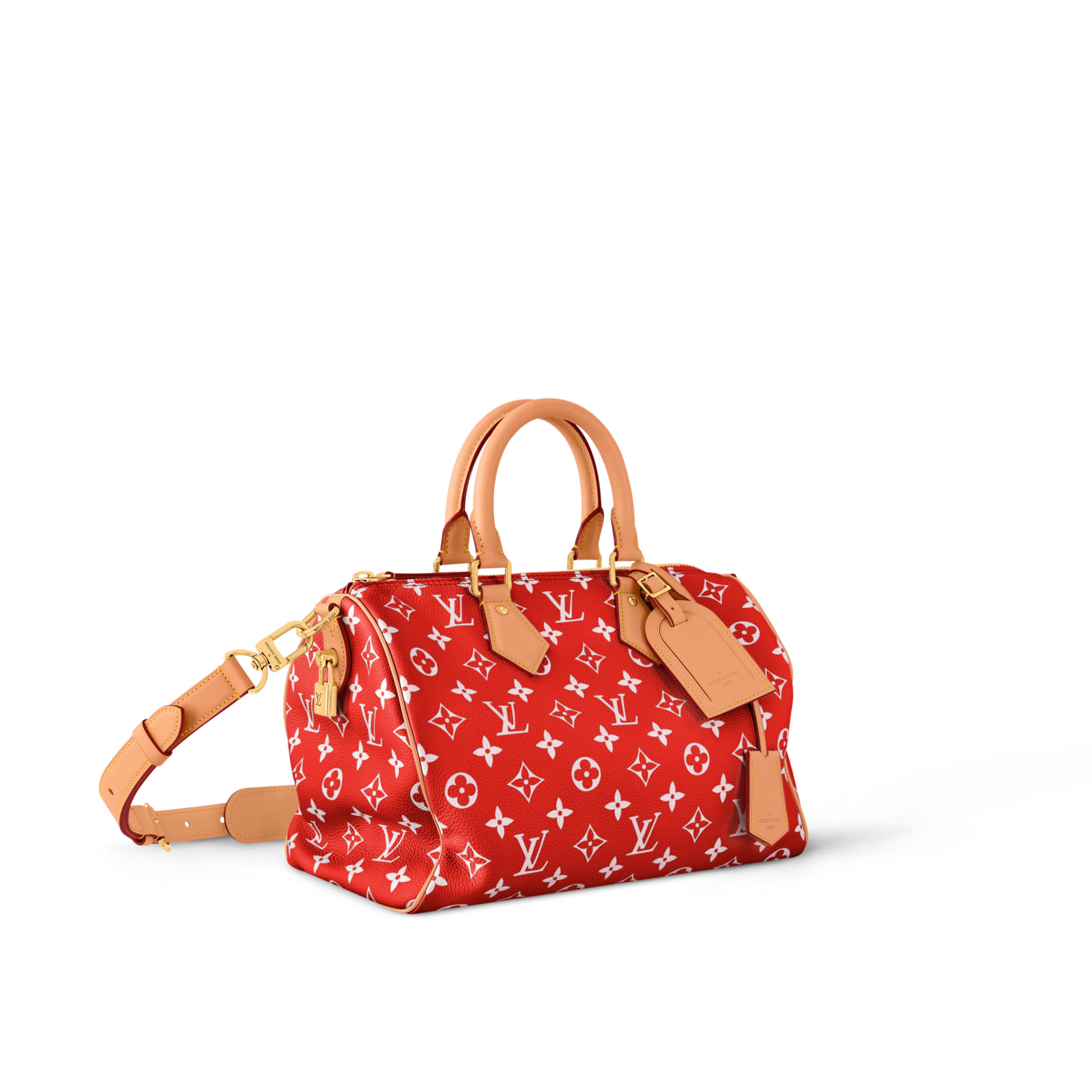 LV Speedy P9 Bandoulière 30 M14067 - luxuryevafr