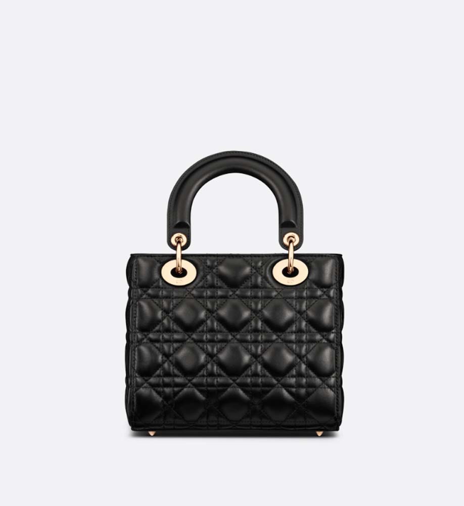 PETIT SAC LADY DIOR - luxuryevafr