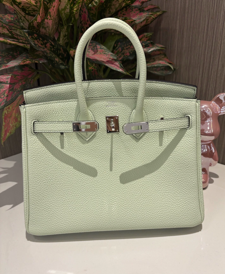 Hermes Birkin Sellier 25 Vert Fizz Epsom Ferrures Palladium - luxuryevafr