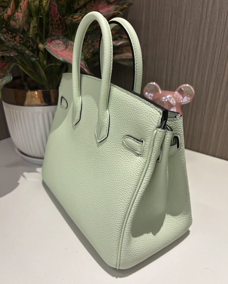 Hermes Birkin Sellier 25 Vert Fizz Epsom Ferrures Palladium - luxuryevafr