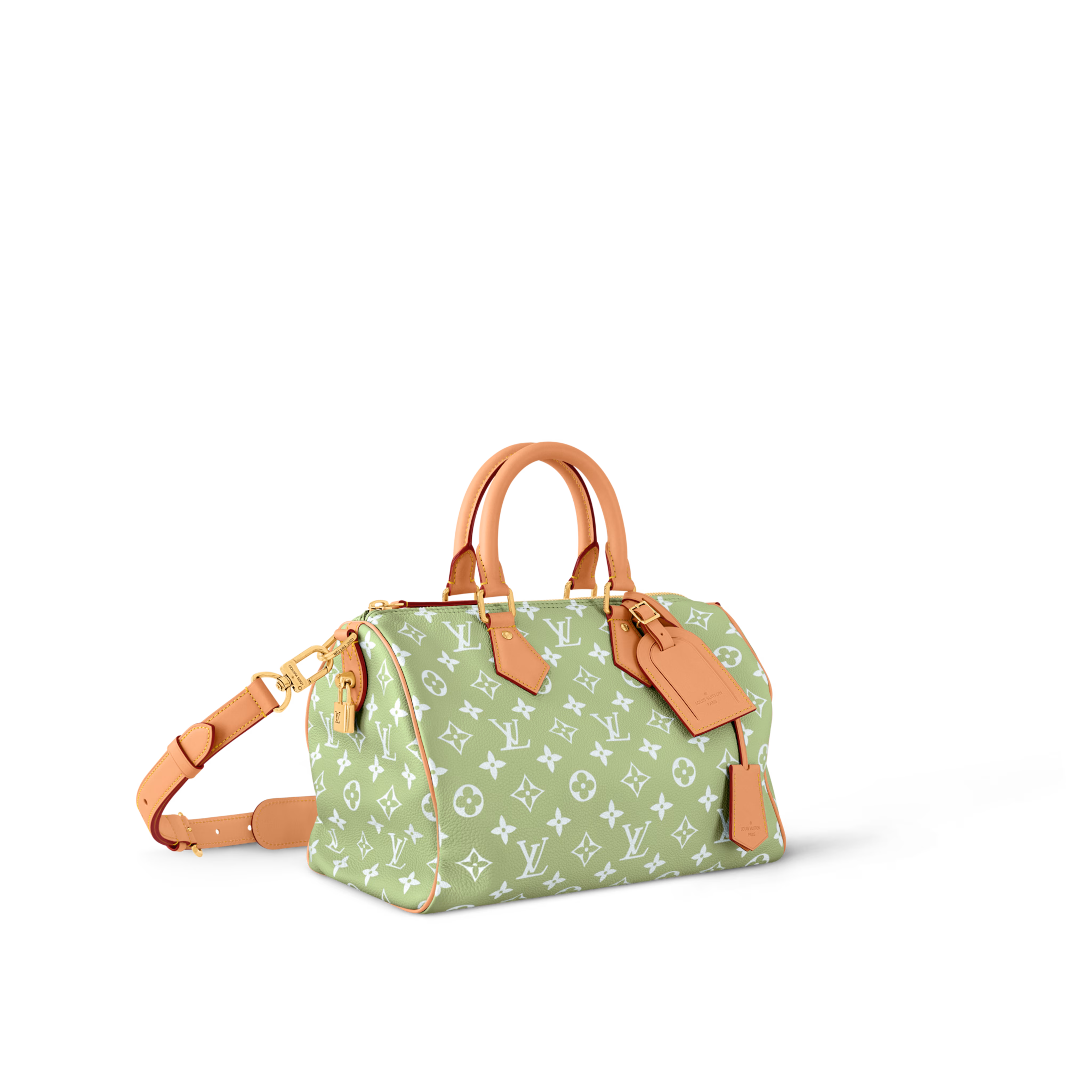 LV Speedy P9 Bandoulière 30 M14064 - luxuryevafr