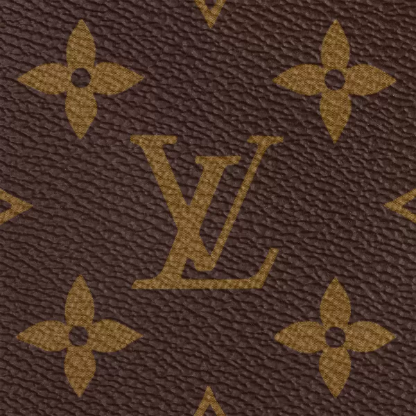 Louis Vuitton Speedy Bandouliere 25 M46977 - luxuryevafr