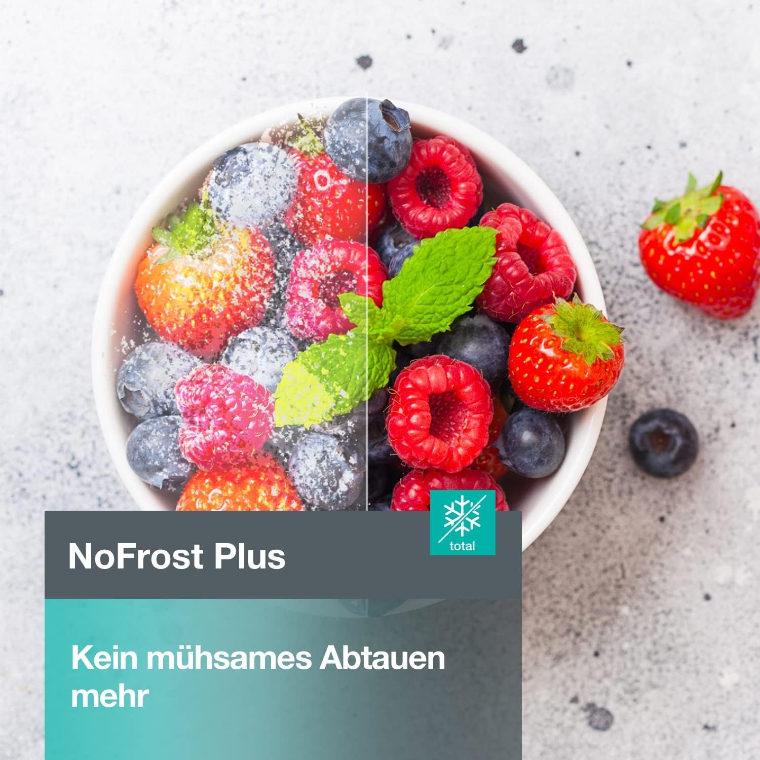 Gorenje N 619EAW4 Kühl-Gefrier-Kombination / LED Display / 186 cm / 300 l / NoFrostPLus / Gemüsefach mit Feuchteregler / FastFreeze / weiß