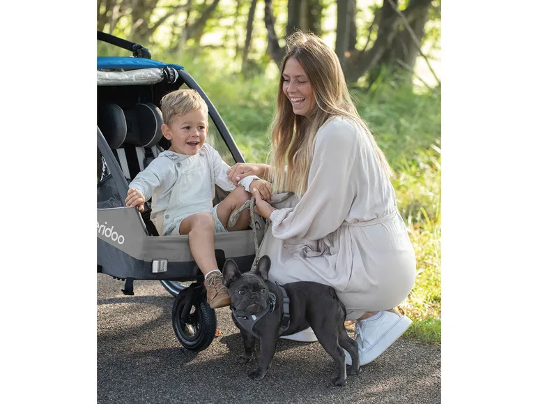 Fahrradanhänger »Sportrex 2 Limited Edition«, Ocean Blue