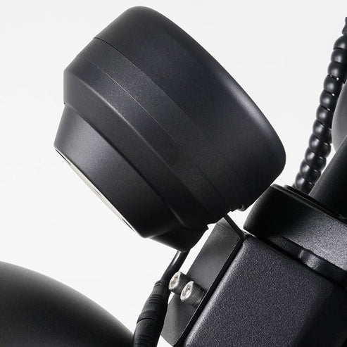 LCD-Display für Citycoco MangoSteen M1P Elektro Chopper Roller