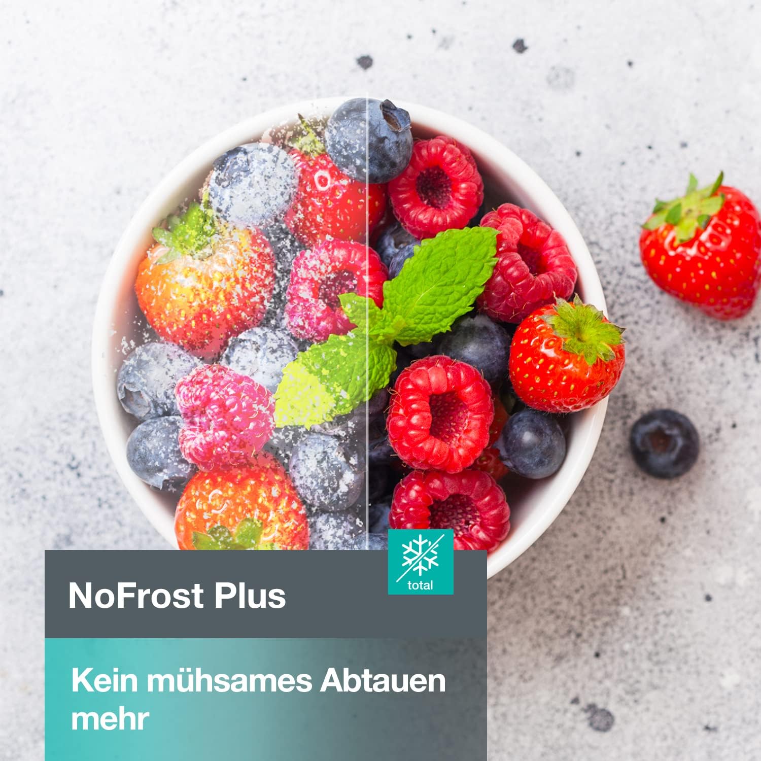 Gorenje N 619EAW4 Kühl-Gefrier-Kombination / LED Display / 186 cm / 300 l / NoFrostPLus / Gemüsefach mit Feuchteregler / FastFreeze / weiß