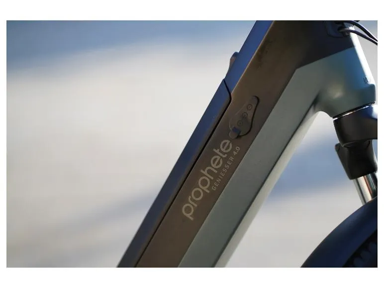 E-Bike Citybike »Geniesser 4.0«, 28 Zoll