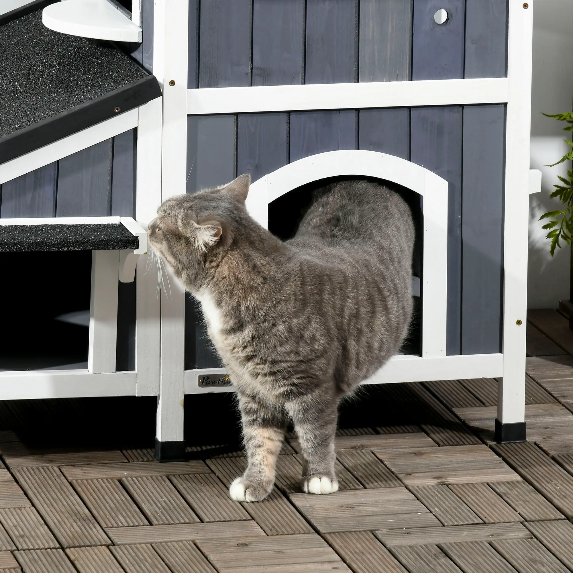 PawHut Outdoor Katzenhaus 2 Etagen mit Asphaltdach Blumenkasten