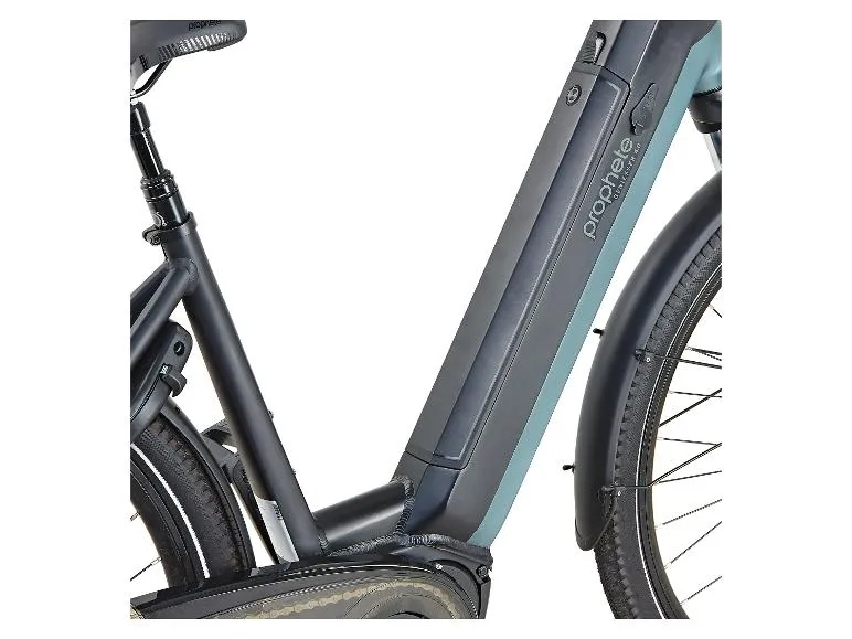 E-Bike Citybike »Geniesser 4.0«, 28 Zoll