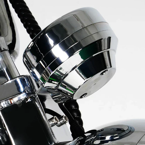 LCD-Display für Citycoco MangoSteen M1P Elektro Chopper Roller