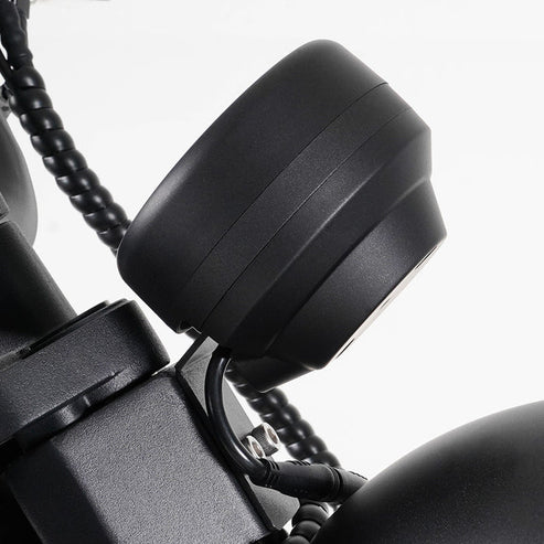 LCD-Display für Citycoco MangoSteen M1P Elektro Chopper Roller