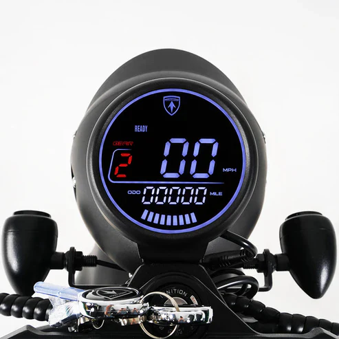 LCD-Display für Citycoco MangoSteen M1P Elektro Chopper Roller