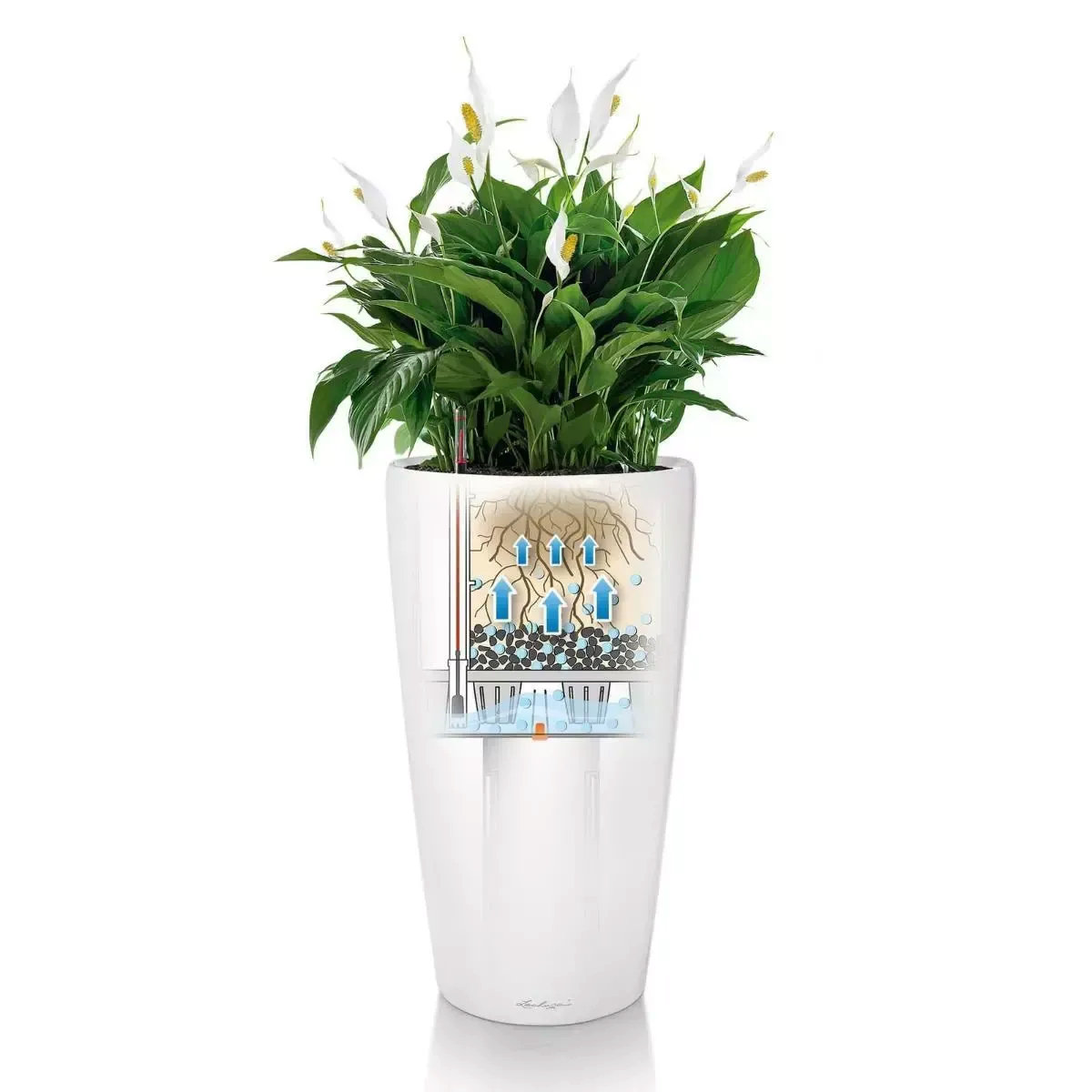 LECHUZA RONDO 32, selbstbewässernder Blumentopf aus schwarzem, hochglänzendem Polyresin mit Substrat und Wasserstandsanzeige, D32 H56 cm, 13 l