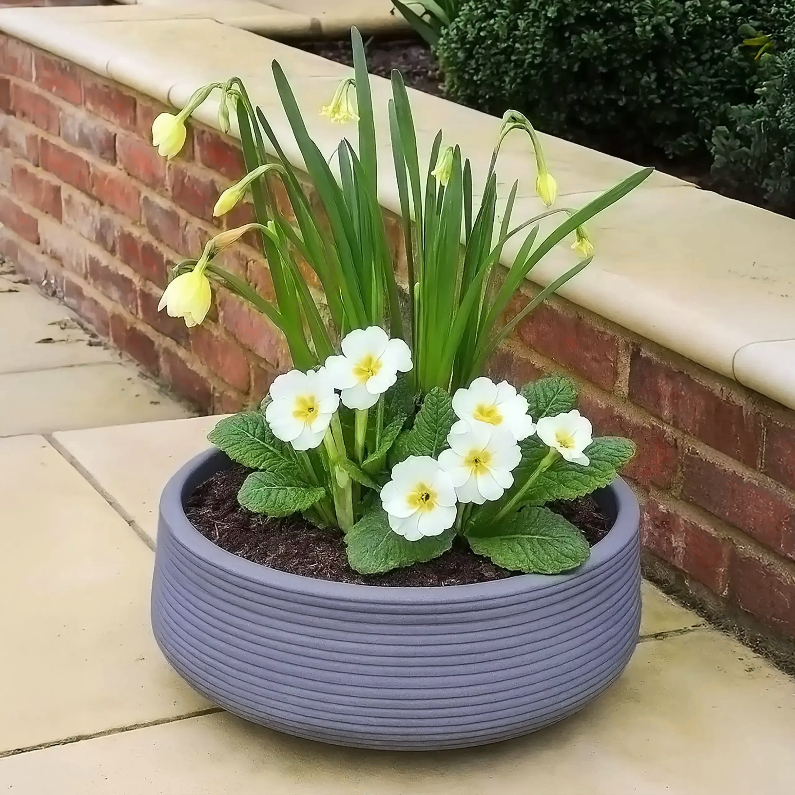 IDEALIST Lite Großer gerippter Pflanzkübel aus hellem Beton in Steingrau, Pflanzschale für den Außenbereich, H12 T31 cm, 9 l