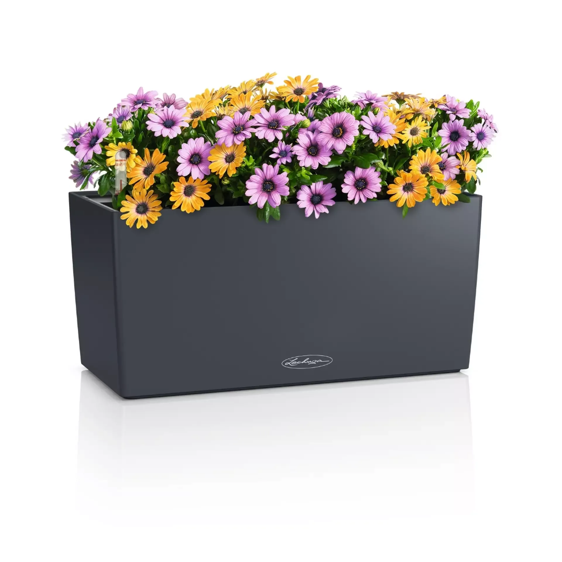 LECHUZA BALCONERA Color 40 Slate Poly Resin Fensterkasten, selbstbewässernder Blumentopf mit Substrat und Wasserstandsanzeige, H19 L40 B19 cm, 6L